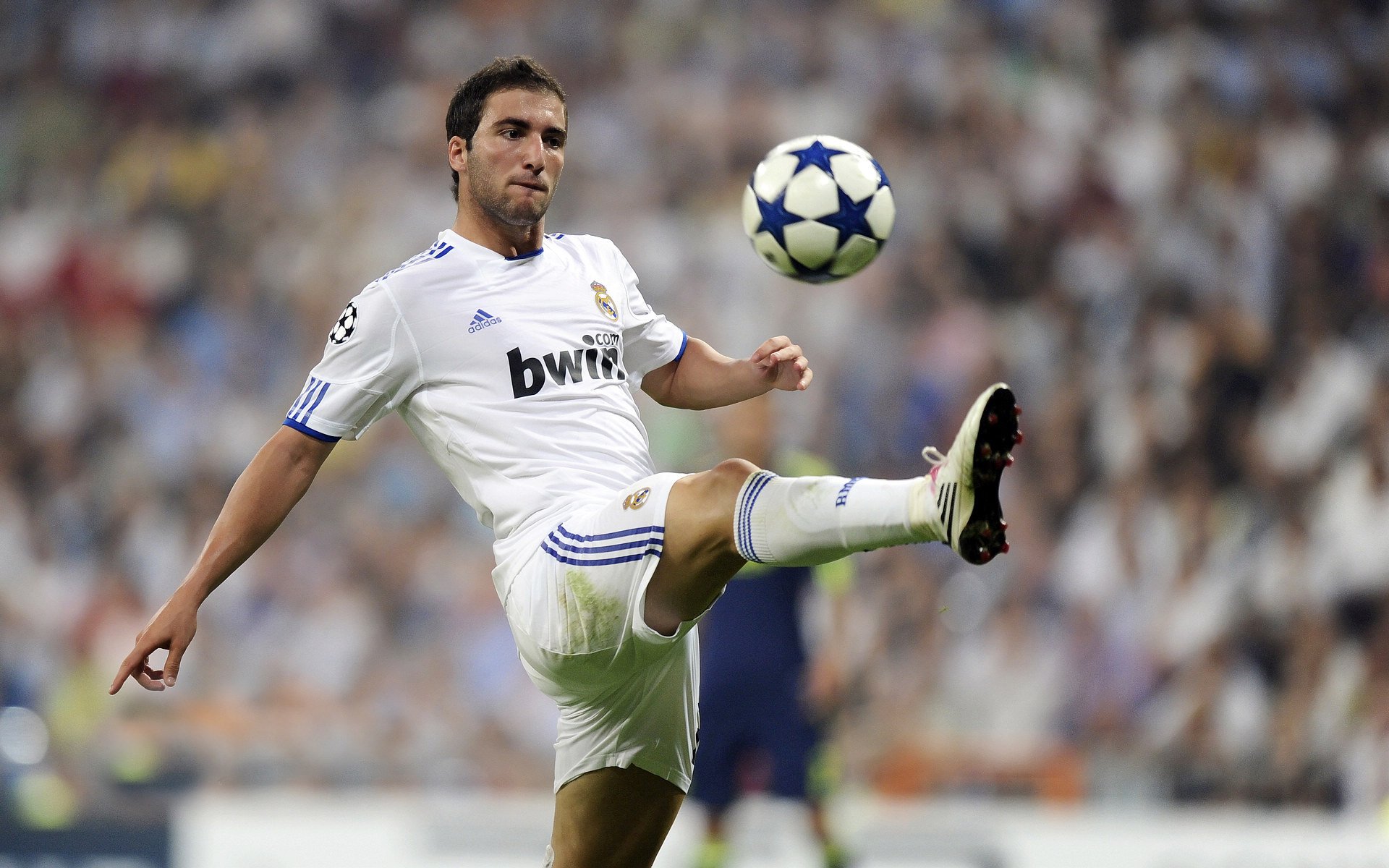 上海申花亚冠主力备战，戴伟浚首秀，米内罗搭档路易斯，上海申花主帅